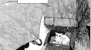 《她和她的猫》墨水屏漫画全集下载